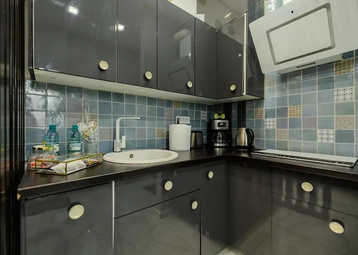 公寓 The Queen's Den - Nicolae Balcescu